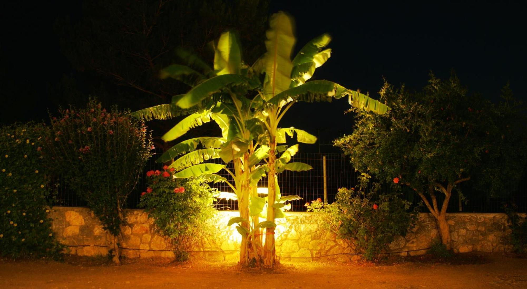 Villa Dora'S House Istrios Exterior foto